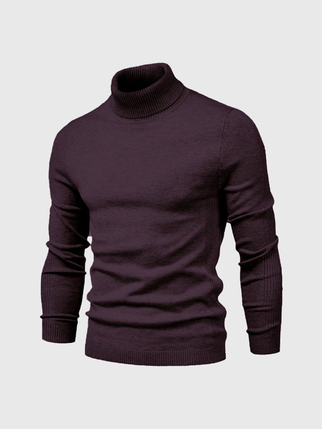 Men Sweater | Turtleneck Regular Fit Pullover Long Sleeve