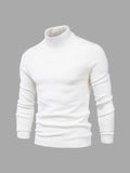 Men Sweater | Turtleneck Regular Fit Pullover Long Sleeve