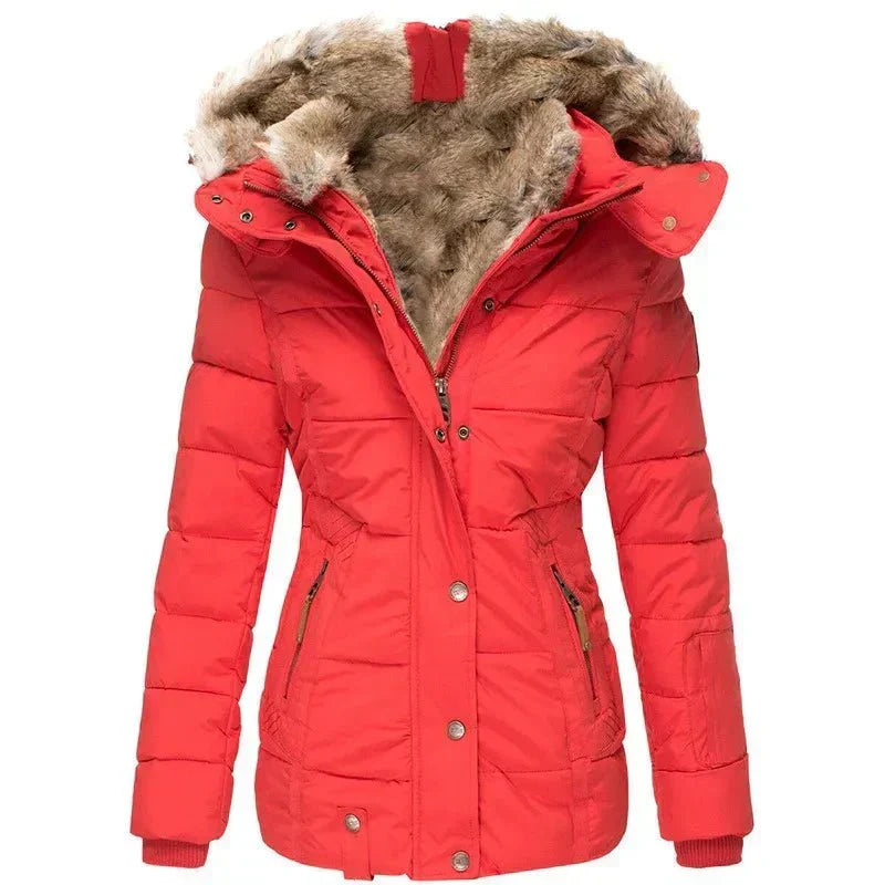 Women Jacket | Fitted Cut with Lined Hood for Winter