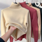 Women Sweater | High Collar Pullover with Internal Lining