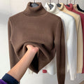 Women Sweater | High Collar Pullover with Internal Lining