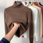 Women Sweater | High Collar Pullover with Internal Lining