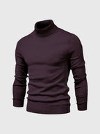 Men Sweater | Turtleneck Regular Fit Pullover Long Sleeve - Evergreen Outfits- Sweaters