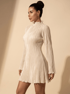 Mini Dress Women Pleated Flare Long Sleeve High Neck - Evergreen Outfits- Women Mini Dress