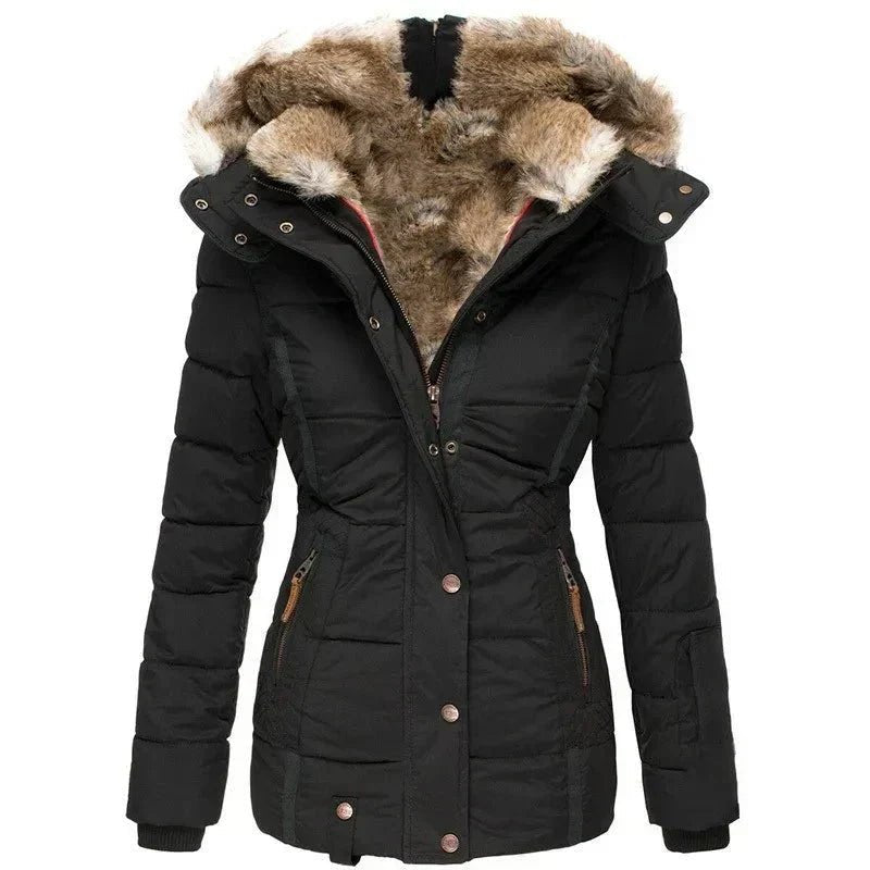 Women Jacket | Fitted Cut with Lined Hood for Winter - Evergreen Outfits- Jackets