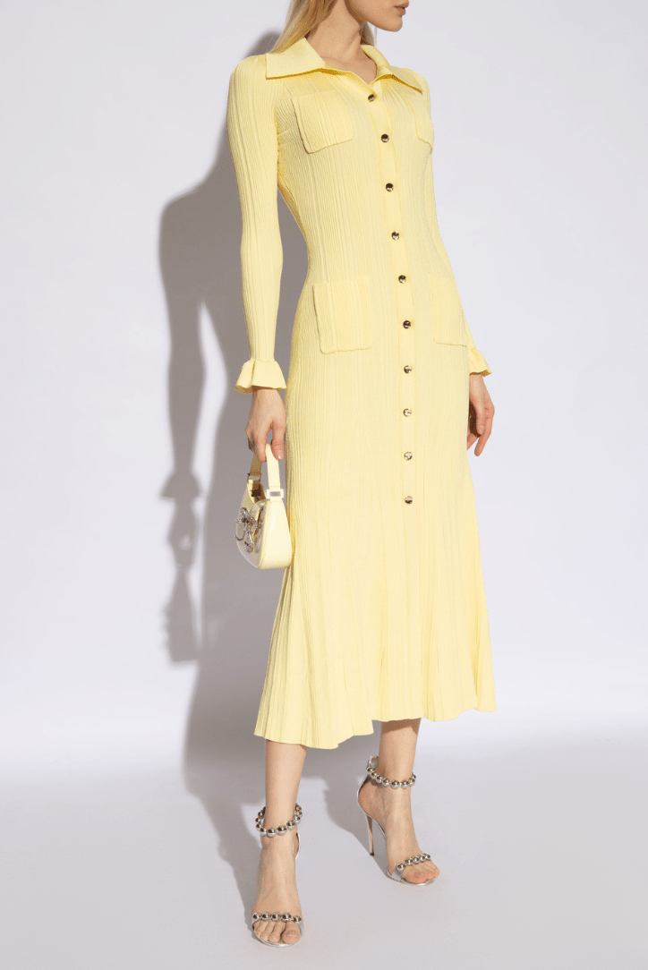 Women Midi Dress Collared Neck Button Closure Ruffle Detail - Evergreen Outfits - Women Midi Dress