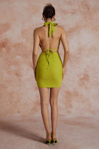 Women Mini Dress Backless Halter Neck Ruffle Lace-Up Fit - Evergreen Outfits- Women Mini Dress