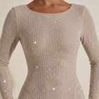 Women Mini Dress Bodycon Long Sleeve Glitter Detail - Evergreen Outfits - Women Mini Dress