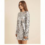 Women Mini Dress Round Neck Long Sleeve Sequined Detail - Evergreen Outfits - Women Mini Dress