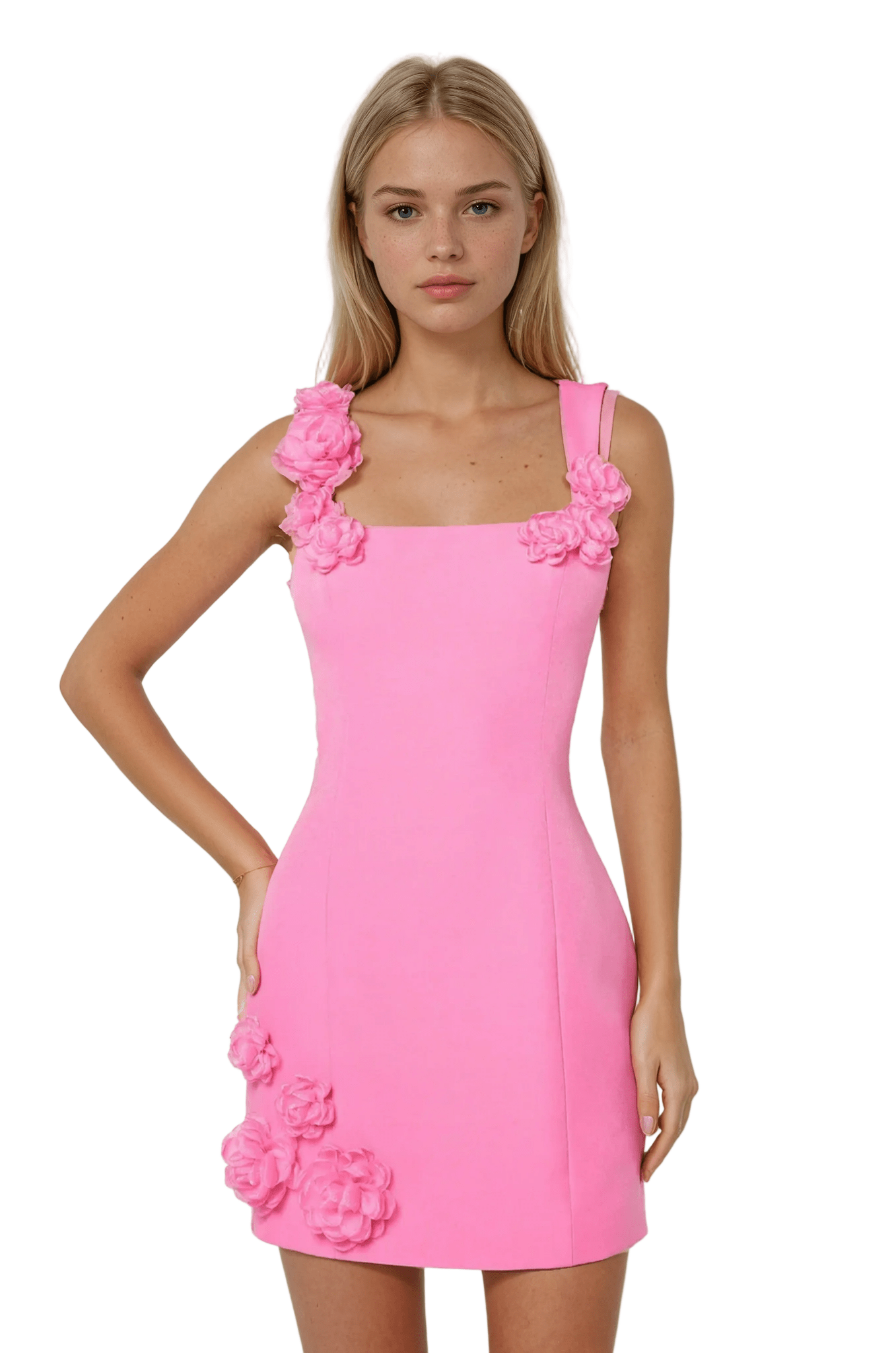 Women Mini Dress Sleeveless Floral Applique Detail - Evergreen Outfits - Women Mini Dress