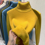 Women Sweater | High Collar Pullover with Internal Lining - Evergreen Outfits- Sweaters