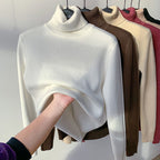Women Sweater | High Collar Pullover with Internal Lining - Evergreen Outfits- Sweaters
